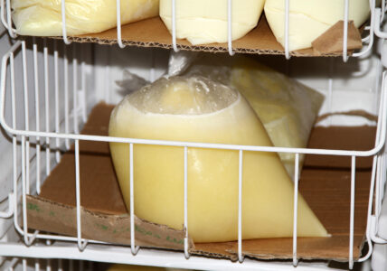 What is Colostrum And Why Is It Important Image